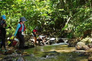 BIB: 
                            <button type="button" onclick="openModal(21844998)" class="btn btn-primary btn-sm float-right btn-popup" data-toggle="modal" data-target=".modal-high-quality">
                        <i class="fas fa-shopping-cart"></i> Add to Cart
                    </button>
                                            <button type="button" onclick="isThisMe(21844998, true)" class="btn btn-success btn-sm float-right btn-popup btn-isme hidden" data-toggle="tooltip" data-placement="bottom" title="นี่คือรูปของคุณใช่ไหม คลิกที่นี่เพื่อเอาเข้าอัลบั้ม">
                        <i class="fas fa-plus"></i> Add to album
                    </button>
                    <button type="button" onclick="isThisMe(21844998, false)" class="btn btn-warning btn-sm float-right btn-popup btn-isnotme hidden">
                        <i class="fas fa-ban"></i> Remove from album
                    </button>